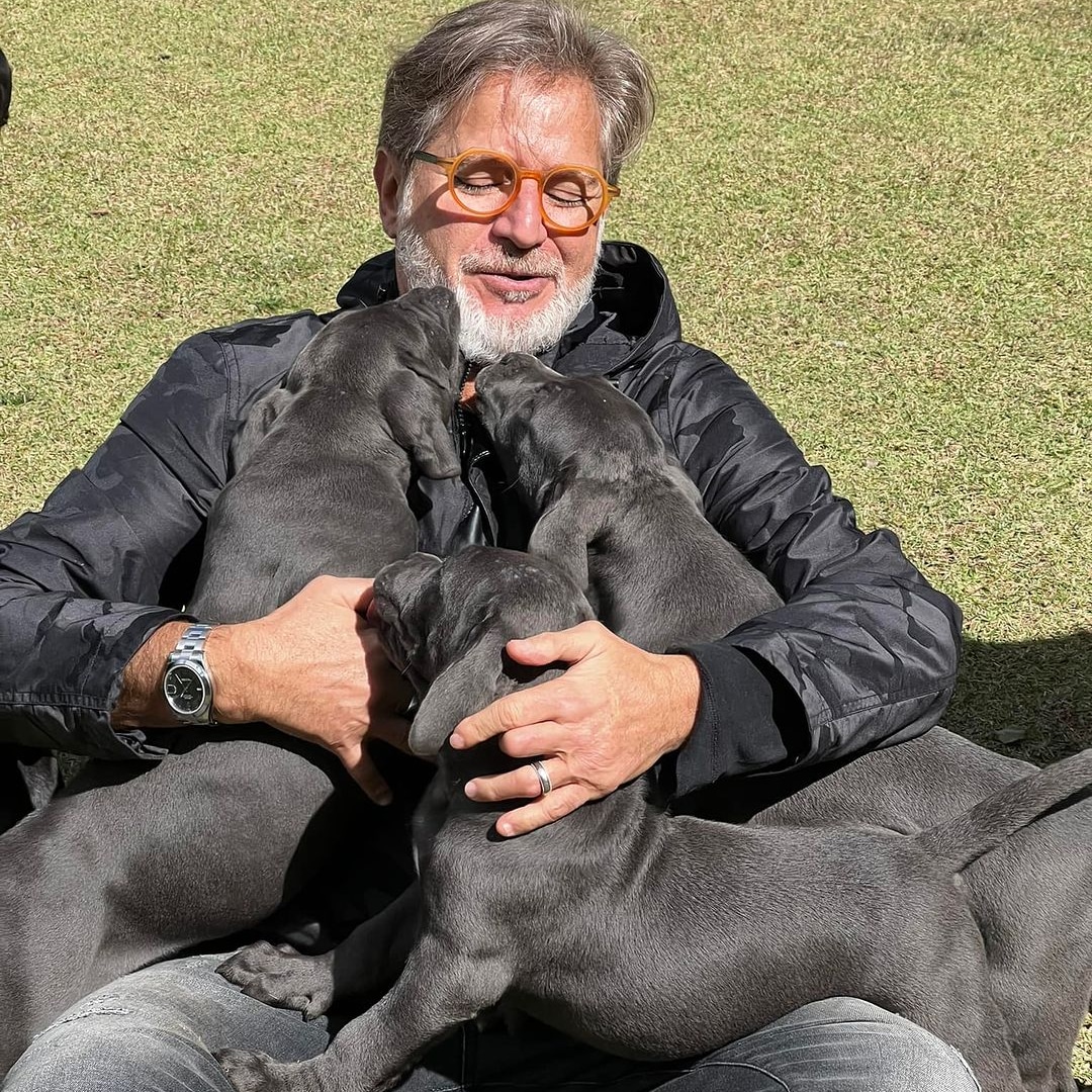 Beautiful Cane Corso from Monvieros