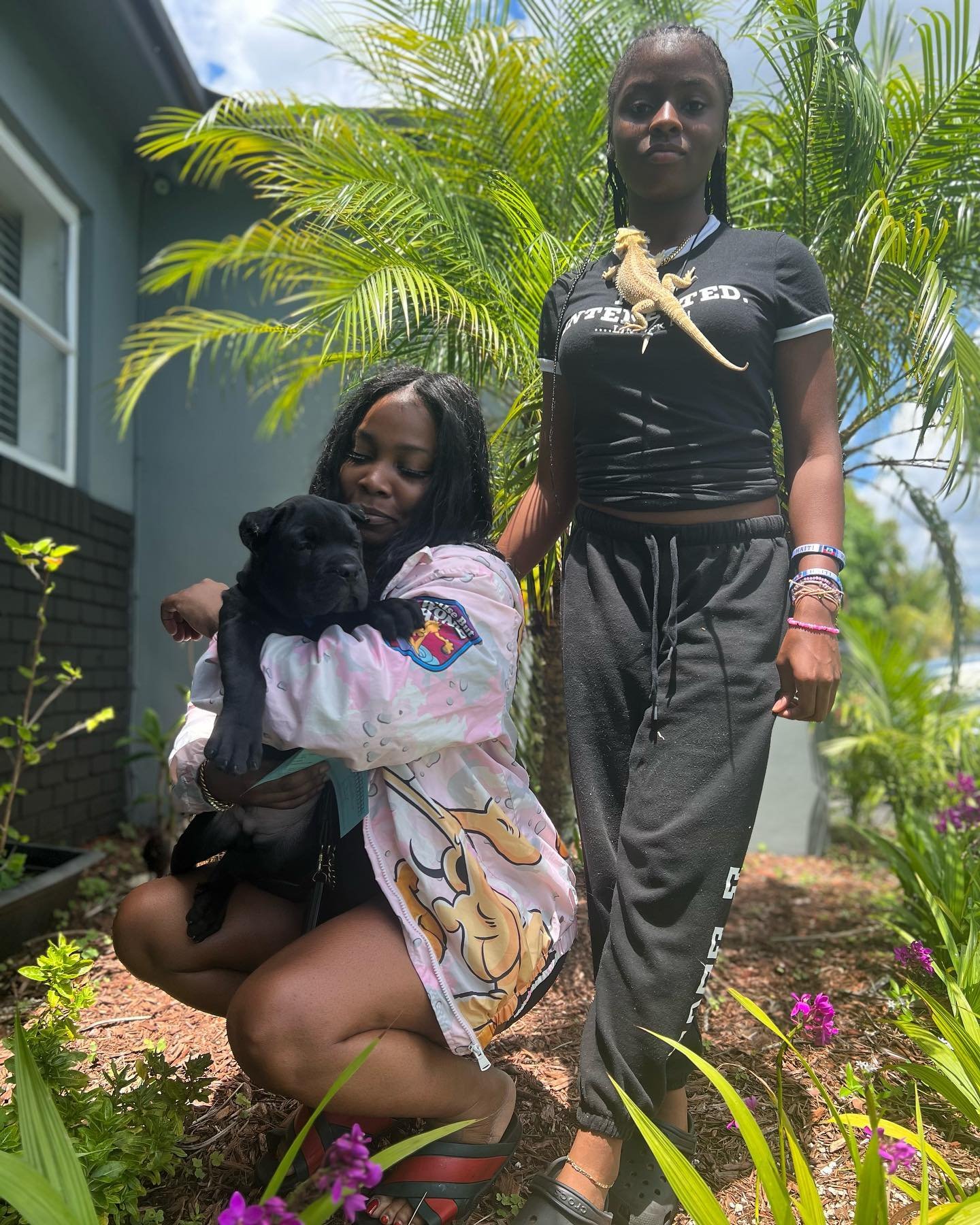 Happy Cane Corso family