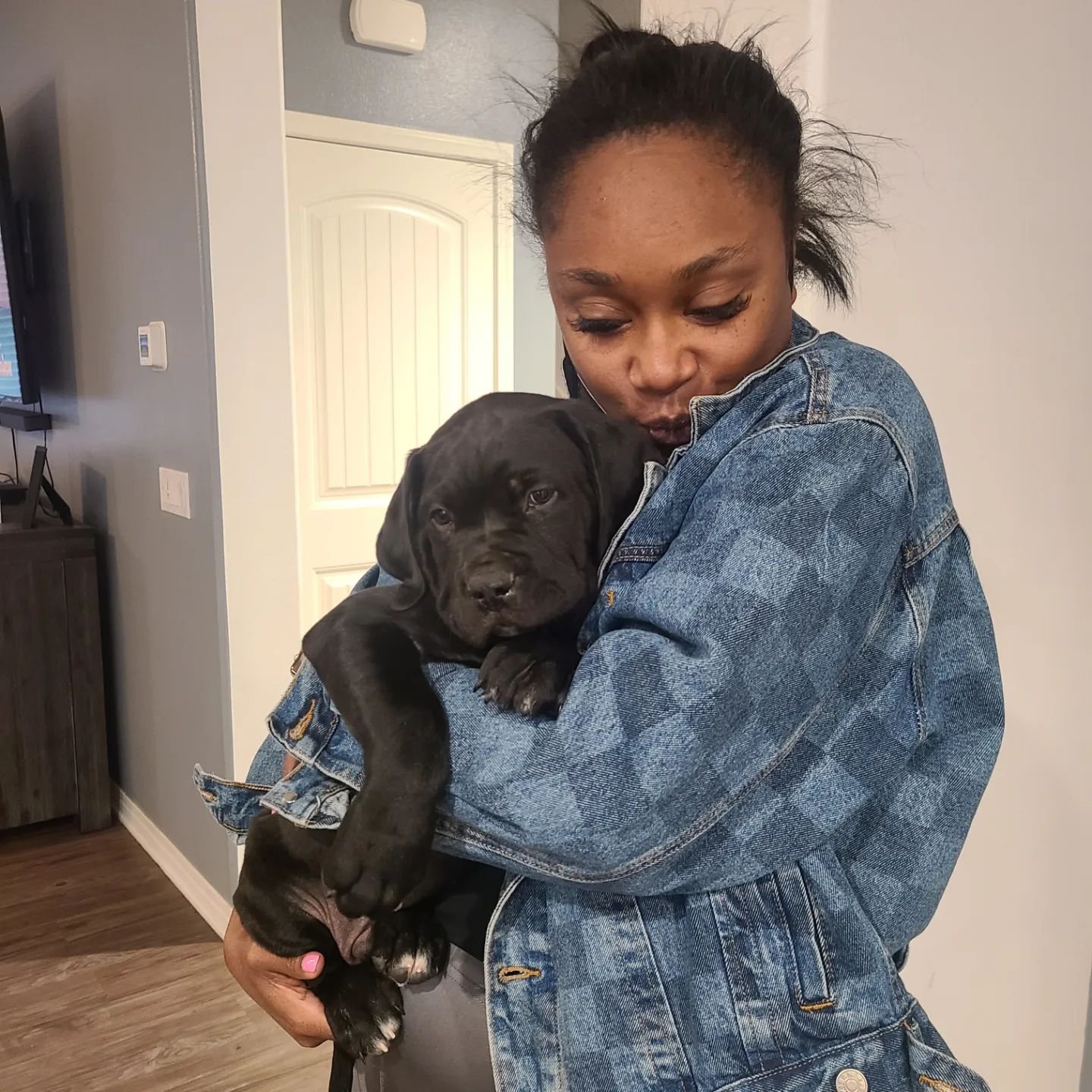 Happy Cane Corso family